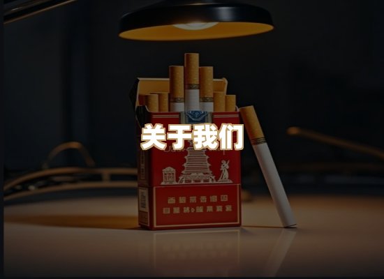 关于蓝帝网